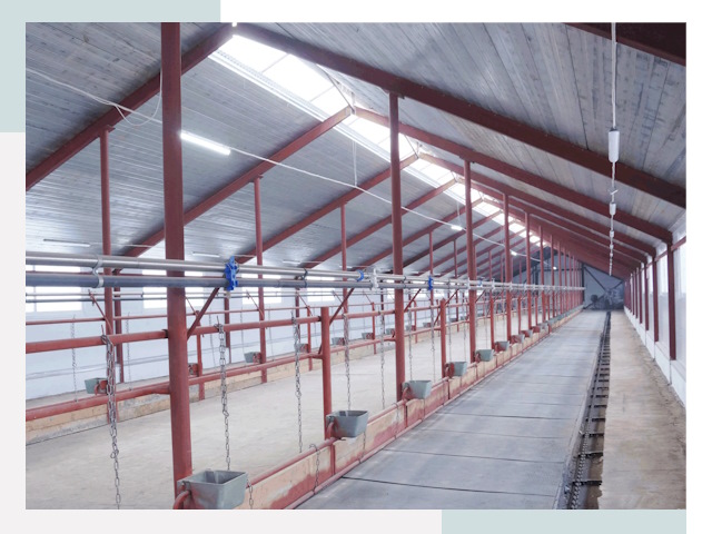 Строительство коровников в Южноуральске от 656 руб.